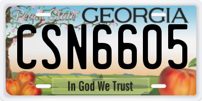 GA license plate CSN6605