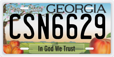 GA license plate CSN6629