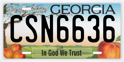 GA license plate CSN6636