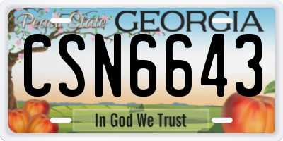 GA license plate CSN6643