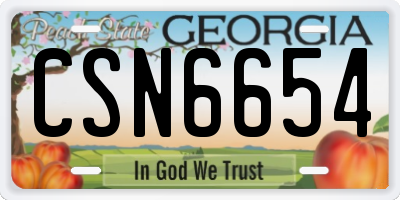 GA license plate CSN6654