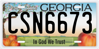 GA license plate CSN6673