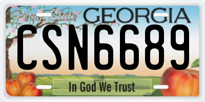 GA license plate CSN6689