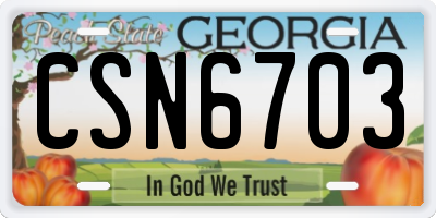 GA license plate CSN6703