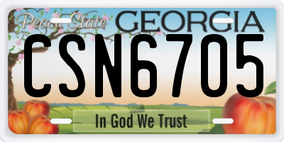 GA license plate CSN6705