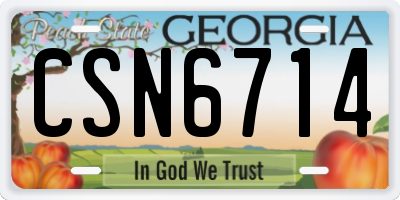 GA license plate CSN6714