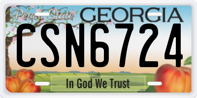 GA license plate CSN6724