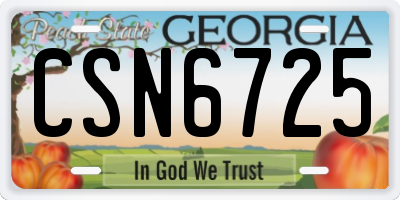 GA license plate CSN6725