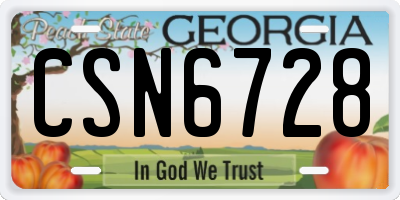 GA license plate CSN6728