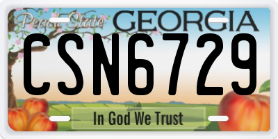 GA license plate CSN6729