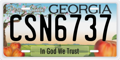GA license plate CSN6737