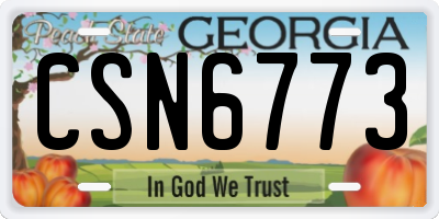 GA license plate CSN6773