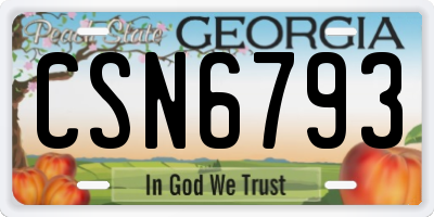 GA license plate CSN6793