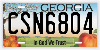 GA license plate CSN6804