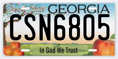 GA license plate CSN6805