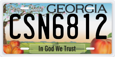 GA license plate CSN6812