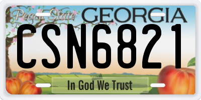 GA license plate CSN6821