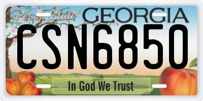 GA license plate CSN6850