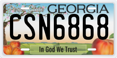 GA license plate CSN6868