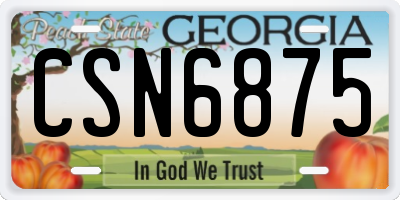 GA license plate CSN6875