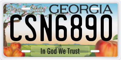 GA license plate CSN6890