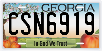 GA license plate CSN6919