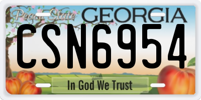 GA license plate CSN6954