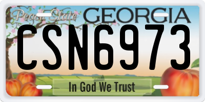 GA license plate CSN6973