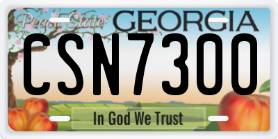 GA license plate CSN7300