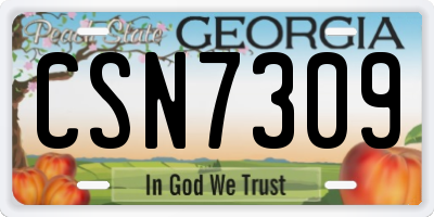 GA license plate CSN7309