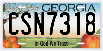 GA license plate CSN7318