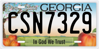 GA license plate CSN7329
