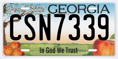 GA license plate CSN7339