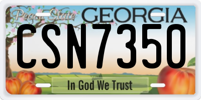 GA license plate CSN7350