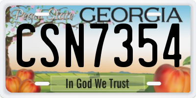 GA license plate CSN7354