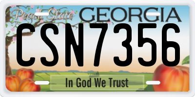 GA license plate CSN7356