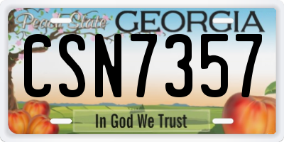 GA license plate CSN7357