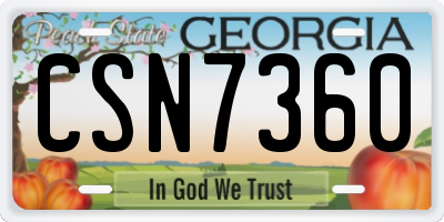 GA license plate CSN7360