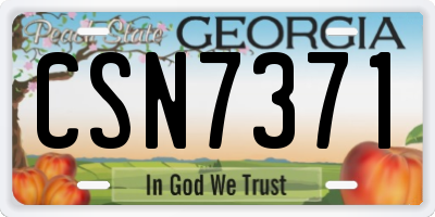 GA license plate CSN7371