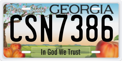 GA license plate CSN7386