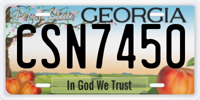 GA license plate CSN7450