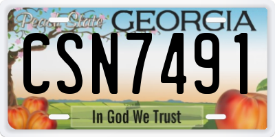 GA license plate CSN7491