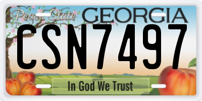 GA license plate CSN7497