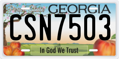 GA license plate CSN7503