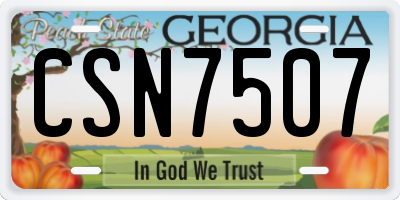 GA license plate CSN7507