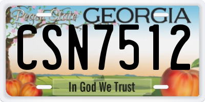 GA license plate CSN7512
