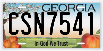 GA license plate CSN7541