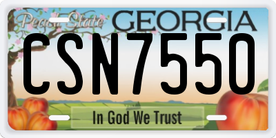 GA license plate CSN7550