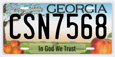 GA license plate CSN7568