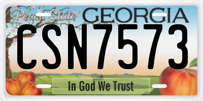 GA license plate CSN7573